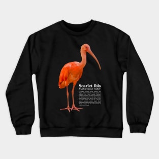 Scarlet ibis tropical bird white text Crewneck Sweatshirt